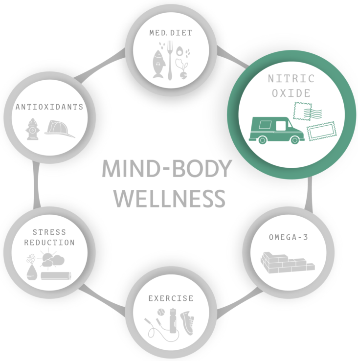 NITRIC OXIDE IN PROMOTING HEALTHY AUTONOMIC FUNCTION Autonomic