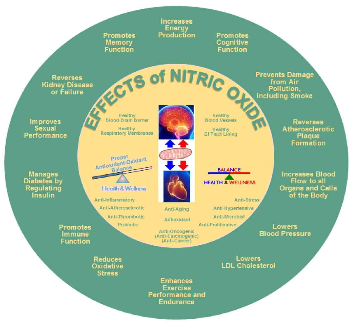 How To Measure Your Nitric Oxide Levels at Wayne Wilson blog