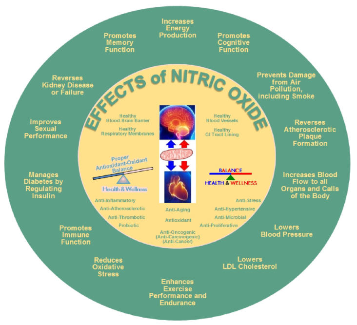 Effects of Nitric Oxide