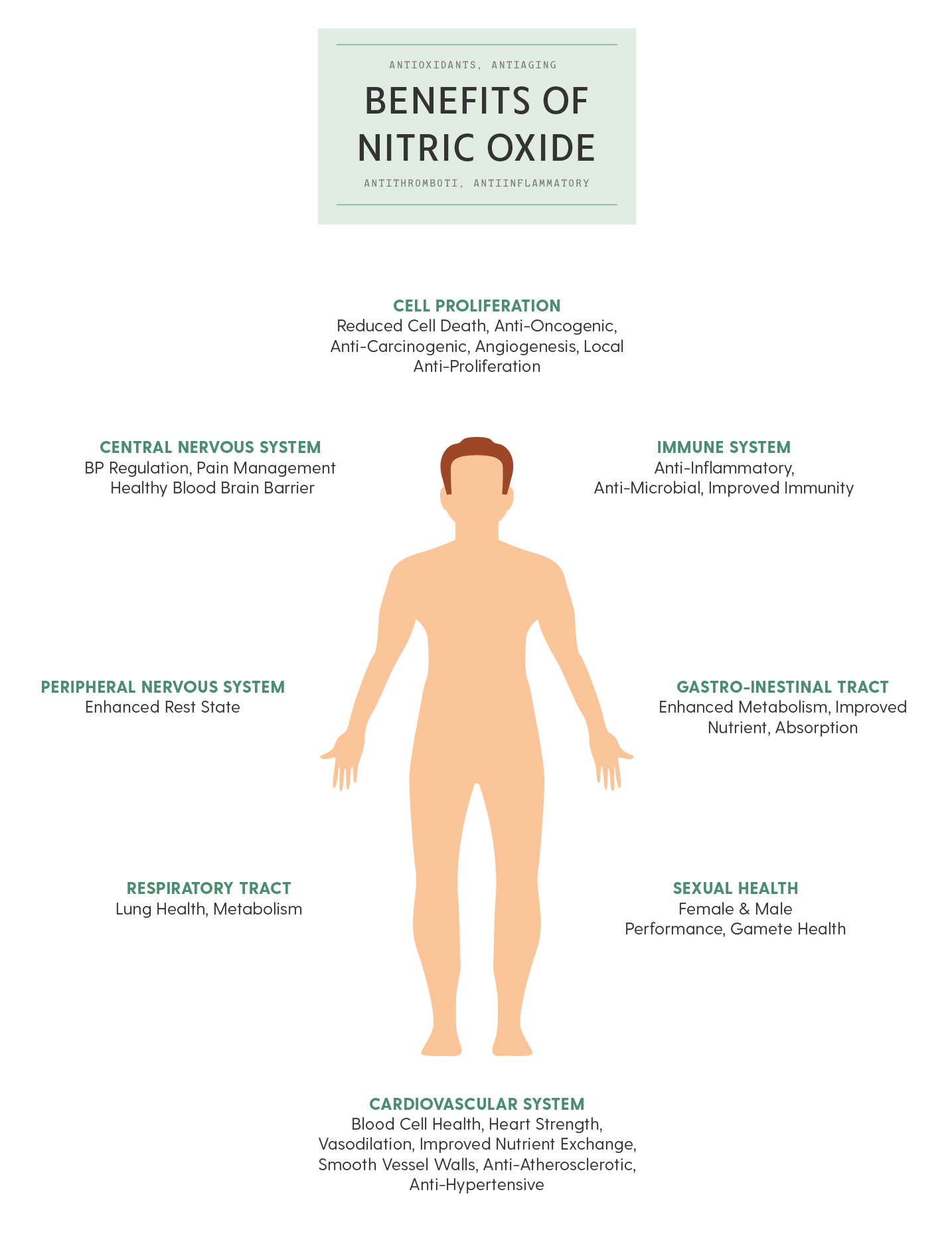 NITRIC OXIDE IN PROMOTING HEALTHY AUTONOMIC FUNCTION Autonomic Dysfunction Treatment