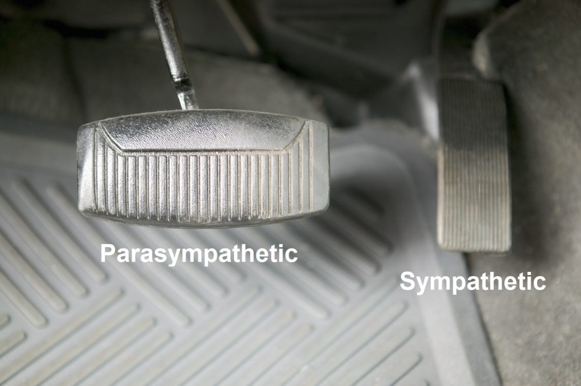 experiment-activate-your-sympathetic-nervous-system